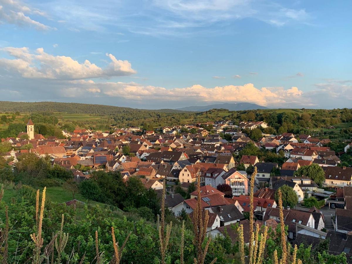Ferienwohnung Luna -3 Schlafzimmer, Waschmaschine, Kueche, Wlan, Ca 15 Min Bis Zum Europa Park, Malterdingen Εξωτερικό φωτογραφία