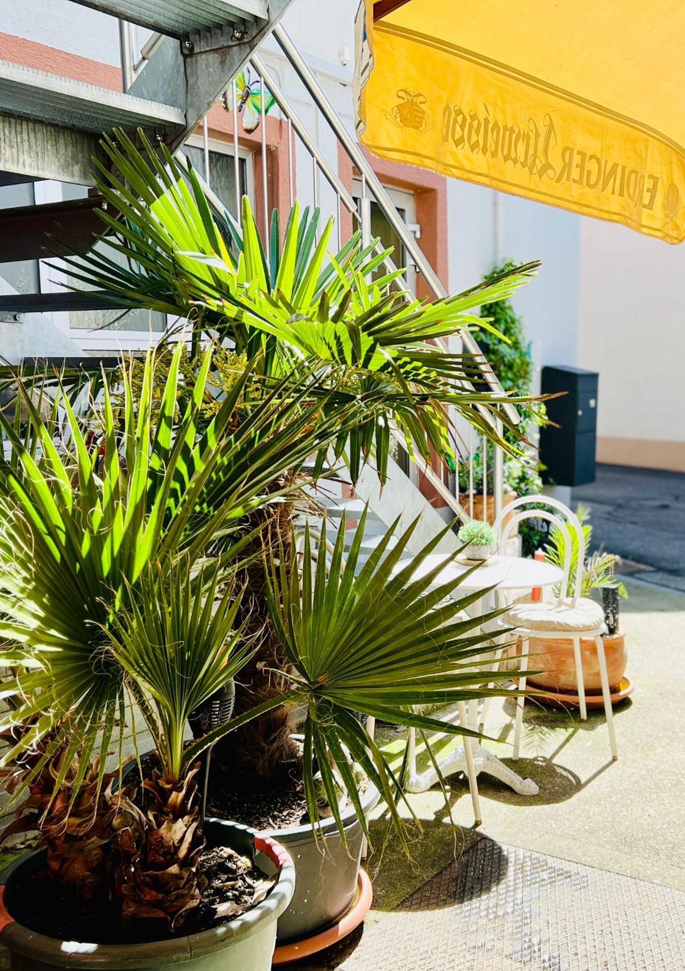 Ferienwohnung Luna -3 Schlafzimmer, Waschmaschine, Kueche, Wlan, Ca 15 Min Bis Zum Europa Park, Malterdingen Εξωτερικό φωτογραφία